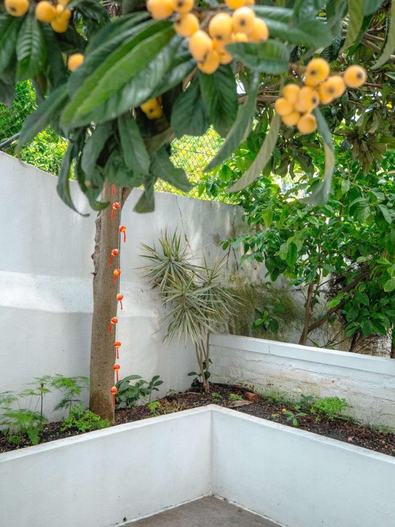 Charming 1br With Terrace Praca Flores | By Airnest Apartamento