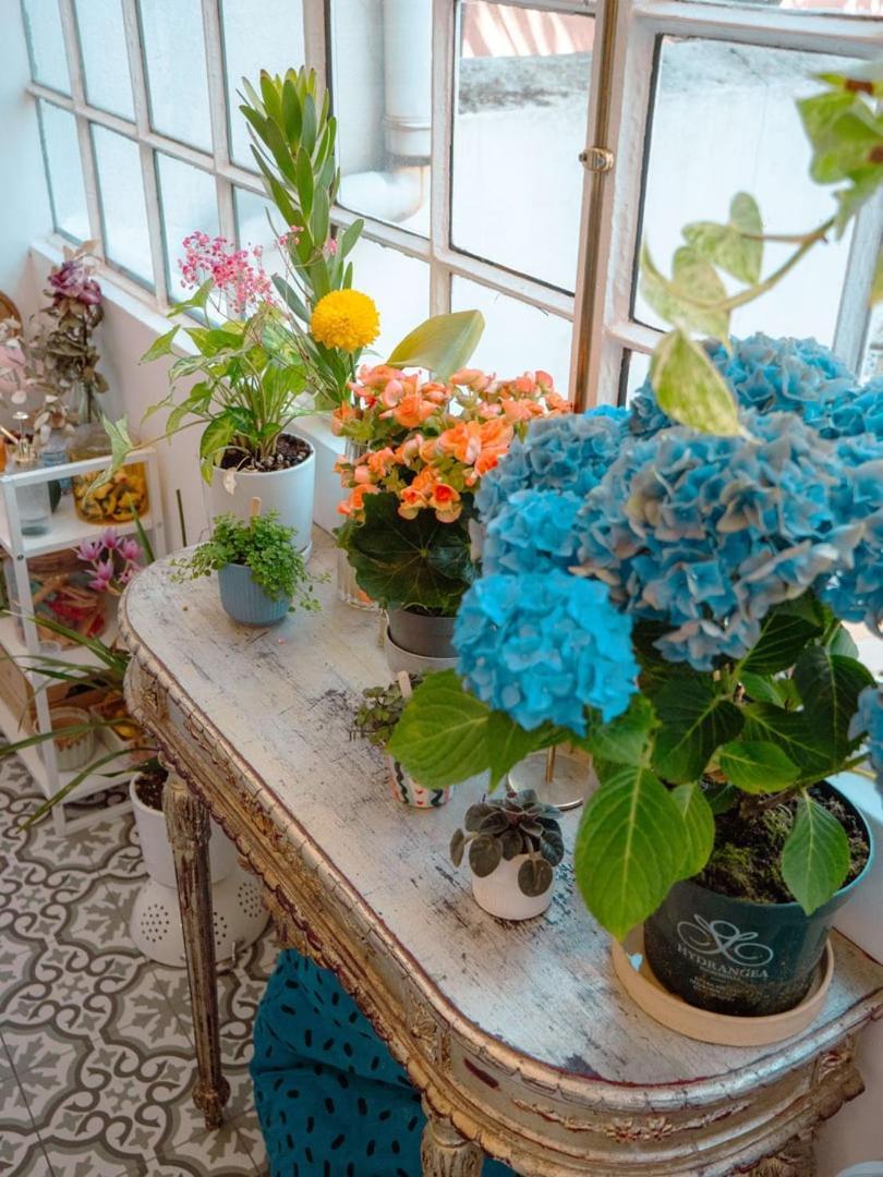 Apartamento Charming 1br With Terrace Praca Flores | By Airnest