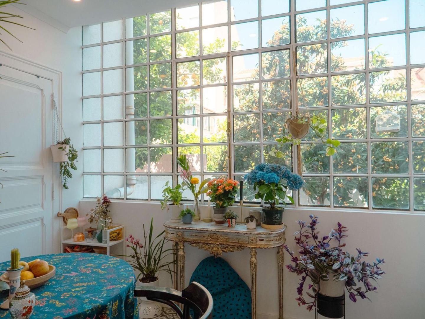 Charming 1br With Terrace Praca Flores | By Airnest Lisboa